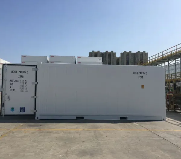 20ft Domestic Refrigerated Containers – Reefers